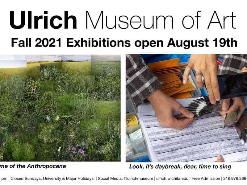 Ulrich Museum of Art. Fall 2021 Exhibitions. "Love in the Time of the Anthropocene" and "Look, it's daybreak, dear, time to sing"