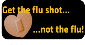 Get the flu shot... not the flu!