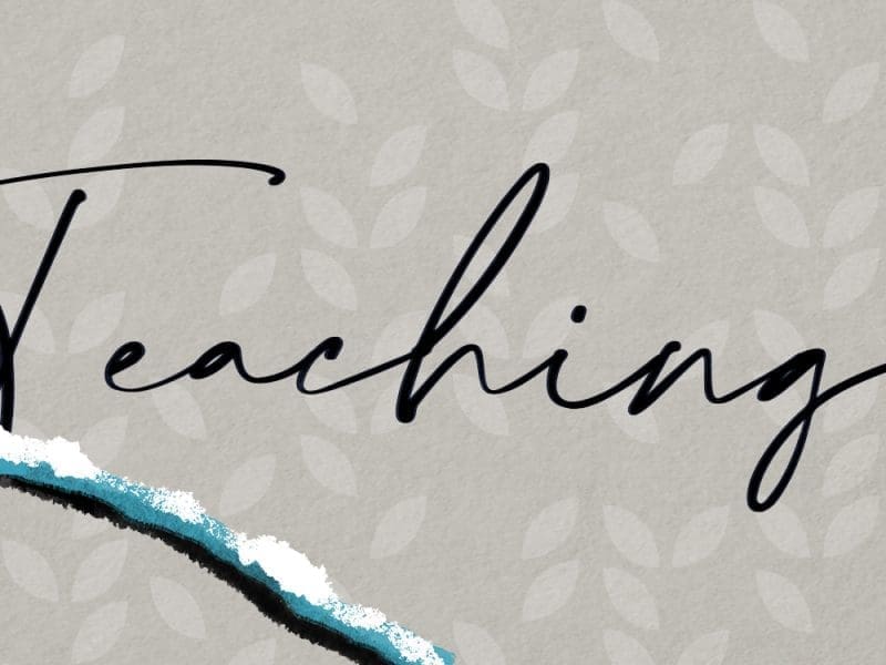 Graphic image featuring Teaching Today and red cardinal on branch.