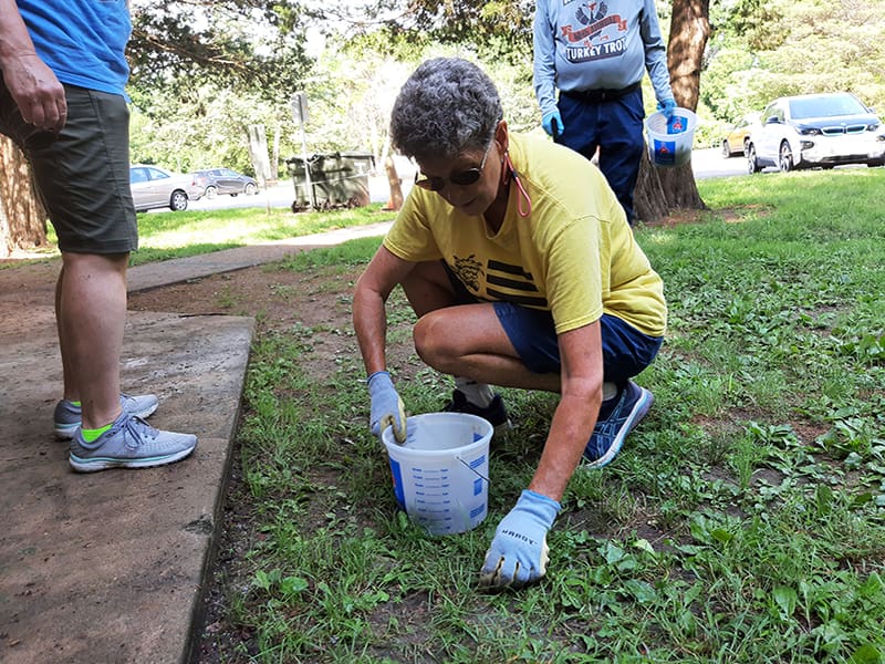 A volunteer picks up litter as part of WSU Environmental litter study.
