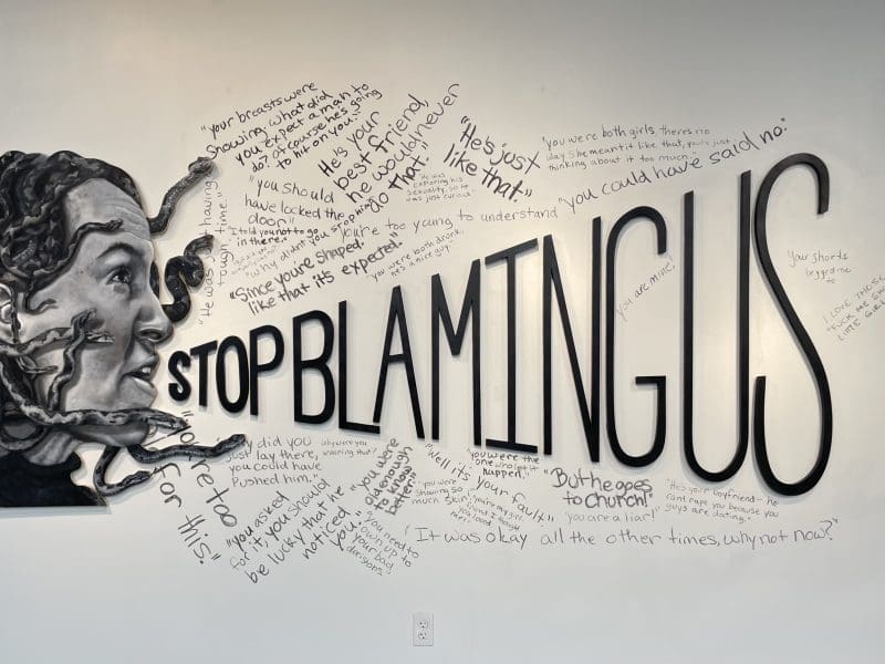 Painting of medusa yelling "Stop Blaming Us"