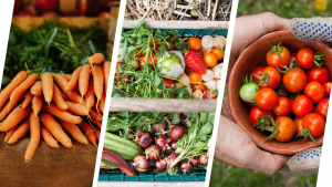 Image of produce.