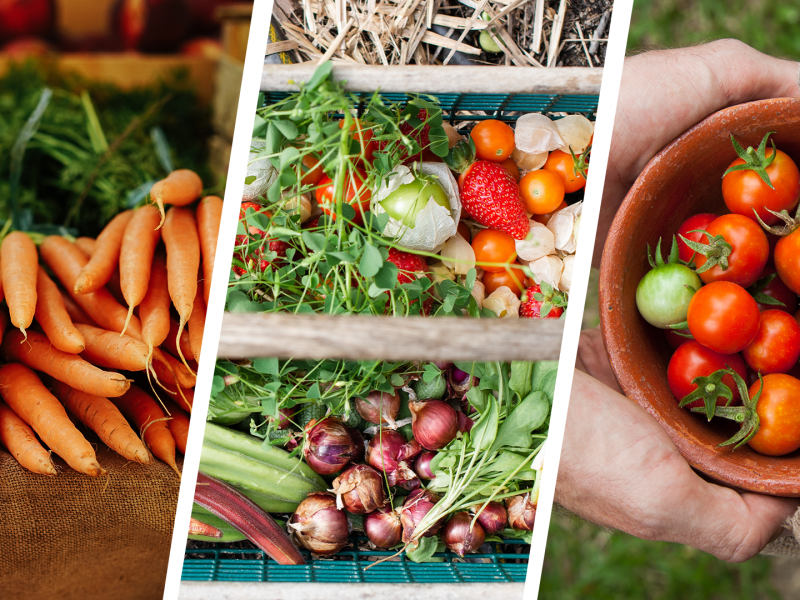 Image of produce.