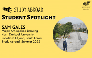 Study Abroad: Expand your World View; Study Abroad Fair Tuesday, October 4th 10 a.m. - 2 p.m. RSC 1st Floor