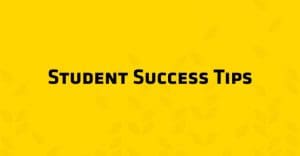 Graphic image with wheat kernels and text Student Success tips