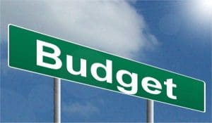 Green street sign that says "budget" angled against a blue sky.
