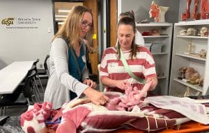 Teachers work on a simulation manikin