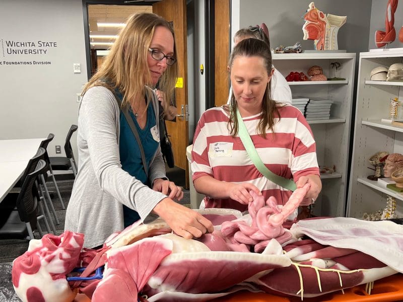Teachers work on a simulation manikin