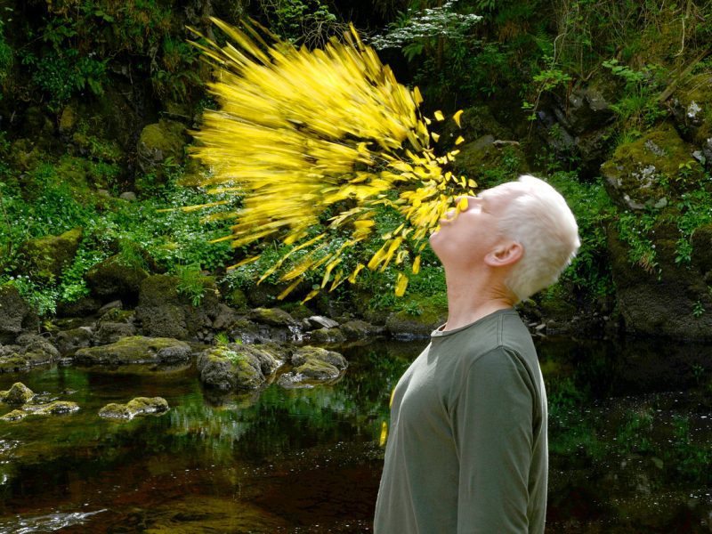 A man with white hair blows yellow flower petals into the air as he stands in front of a pond and moss covered bolders.
