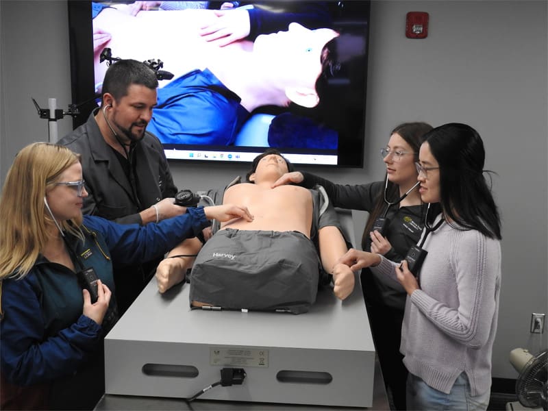 Students and faculty listening to heartbeats with stethoscope