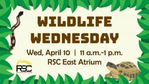 Cartoon animals and leaves with the text "Wildlife Wednesday. Wed. April 10 | 11 a.m.-1 p.m. RSC East Atrium"