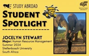 There is a picture of Jocelyn Stewart in South Africa with 3 elephants. There is also information about Jocelyn including her major which is Human Resource Management. She studied abroad summer 2024 at Stellenbosch University in South Africa