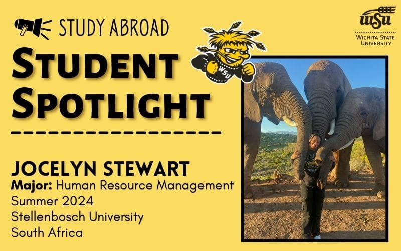 There is a picture of Jocelyn Stewart in South Africa with 3 elephants. There is also information about Jocelyn including her major which is Human Resource Management. She studied abroad summer 2024 at Stellenbosch University in South Africa