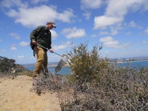 Photograph of a man standing near a bush with a bug, presumably catching butterflies. He is standing on a. sandy cliff with blue skies above him and water in the background.