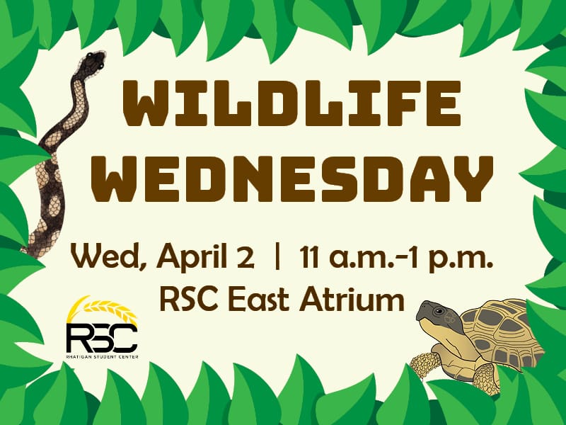 Wildlife Wednesday. Wed, April 2. 11 a.m.-1 p.m. RSC East Atrium