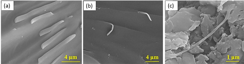 Scanning Electron Micrographs of the fractured surfaces of nanocomposites test specimens, showing fiber breakage, pull-out, and bridging effects of the FHCNTs reinforcements.