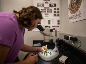 A student analyzes bullet casings in a lab