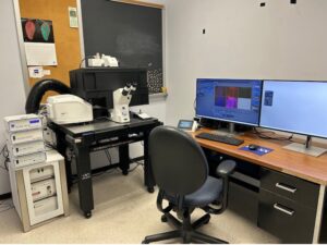 Workstation for confocal microscope. The microscope includes several pieces of equipment stacked on the floor as well as on a workbench. The equipment on the workbench includes a black box that encloses the sample and ocular lenses to view. A computer is set up on a desk next to the microscope and includes two monitors and an empty desk chair. One monitor shows an open program that is viewing fluorescent images of a sample.