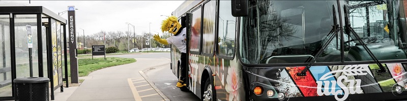 Shuttle Buses