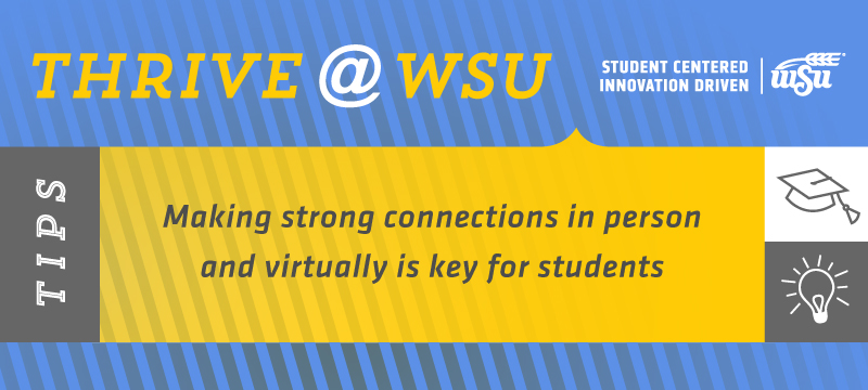 SEM Tip Jan. 22, 2019