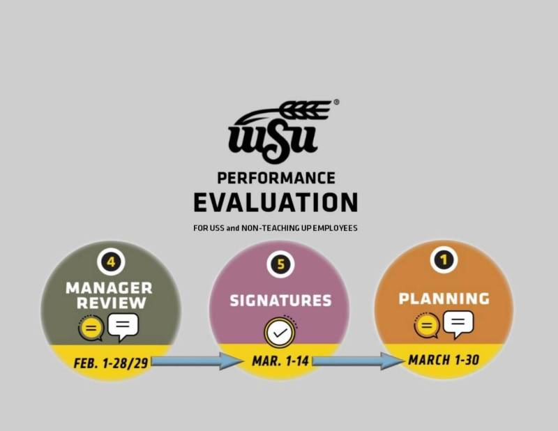 Performance evaluations Feb.-March 2019