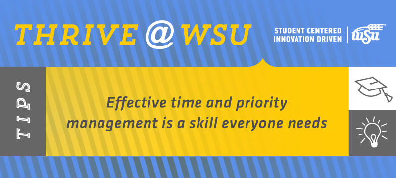 SEM Tip Feb. 4, 2019