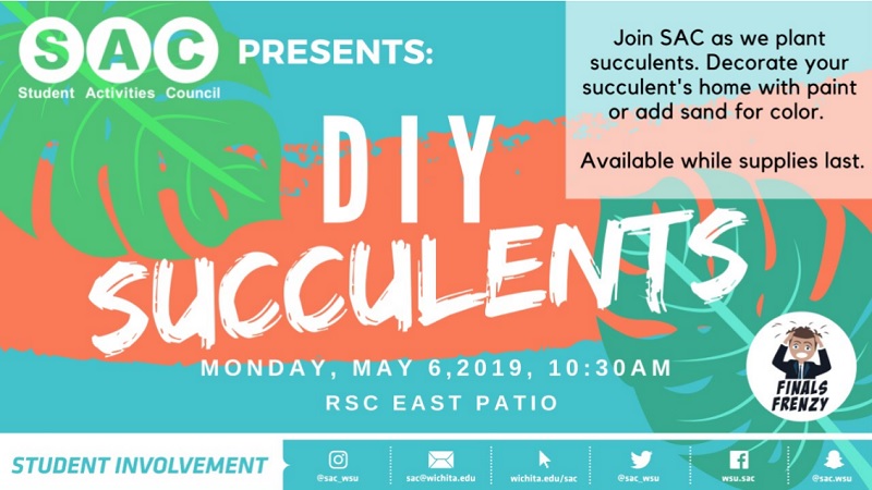 DIY succulents