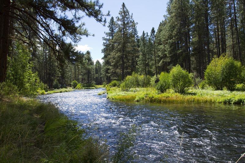 Chrome River