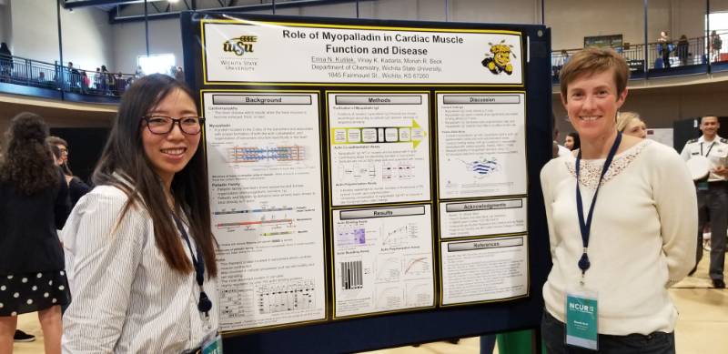 Faculty mentors for First-Year Research Experience fall 2019