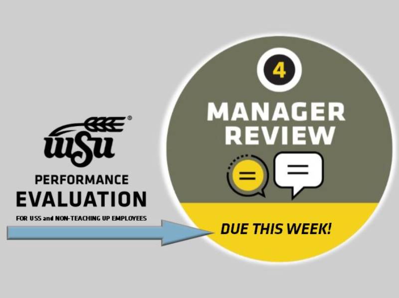Manager Review due this week