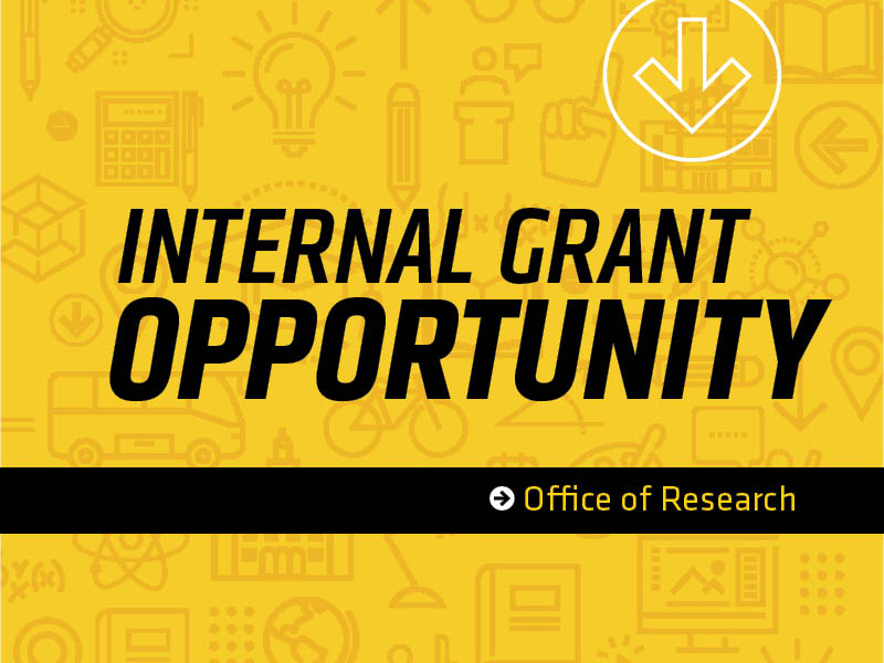 Internal grant opportunity