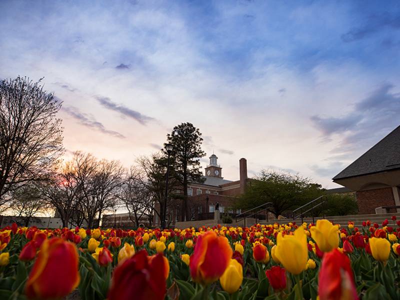 Academe March 2020