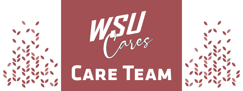 Care Team