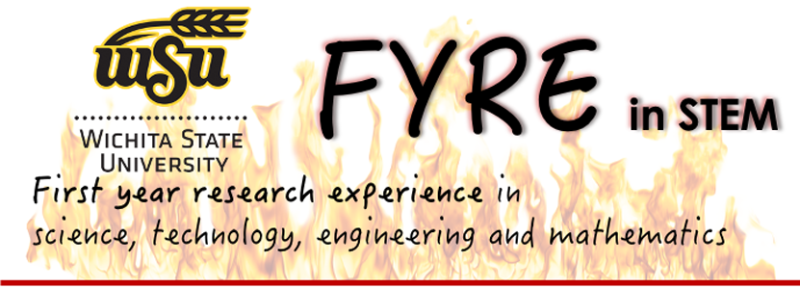 FYRE in STEM