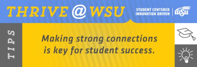 SEM Tip for Aug. 17, 2020