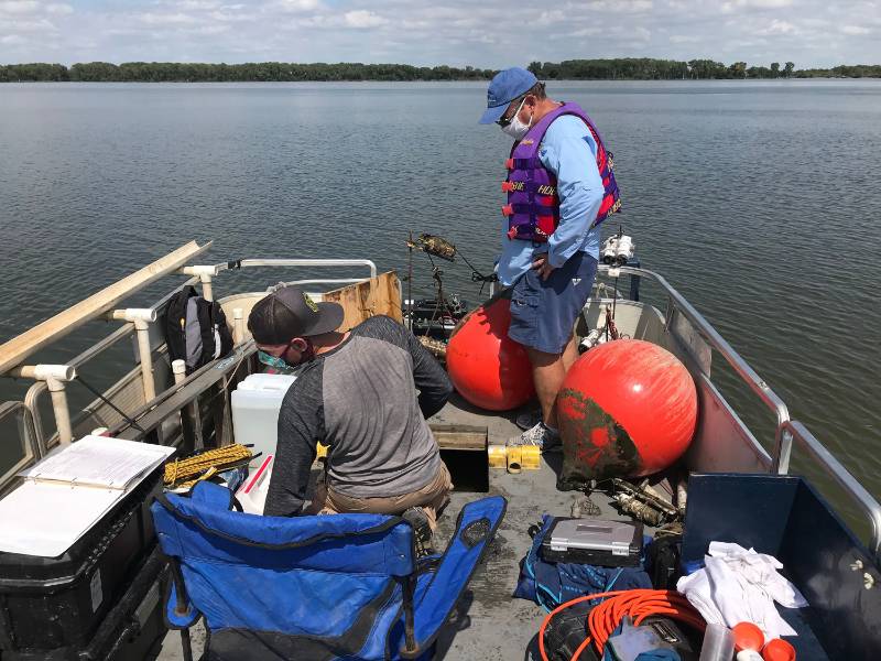 Blue-green algae research