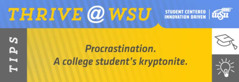 SEM Tip 9820