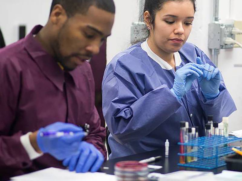 MDL lab