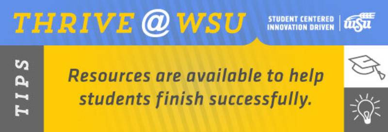 SEM Tip for Nov. 2, 2020
