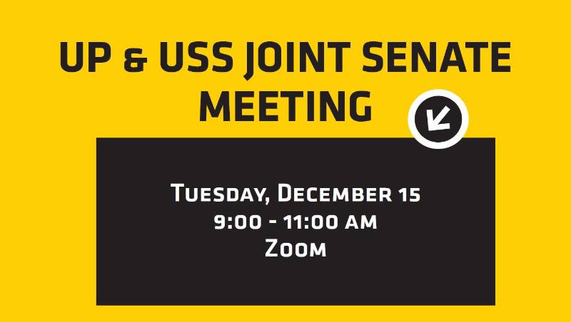 Joint Senate meeting 121520