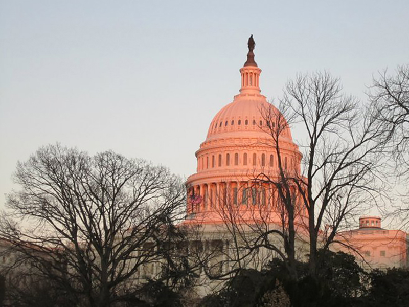 Political Science internships