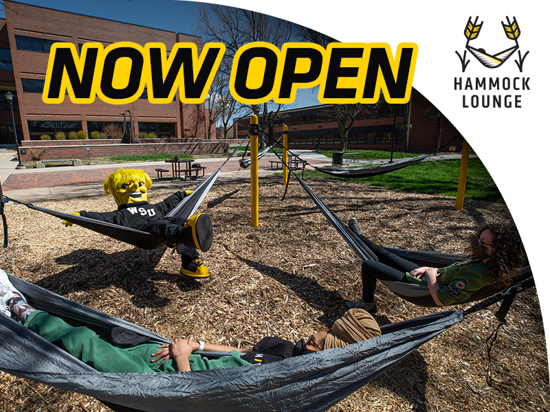 Now Open Hammock Lounge Now Open Hammock Lounge